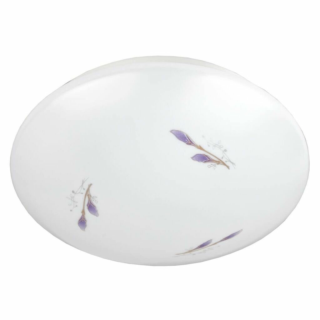 Потолочный светодиодный светильник ЭРА SPB-6-10-4K Lily Б0029160 Потолочный светодиодный светильник ЭРА SPB-6-10-4K Lily Б0029160