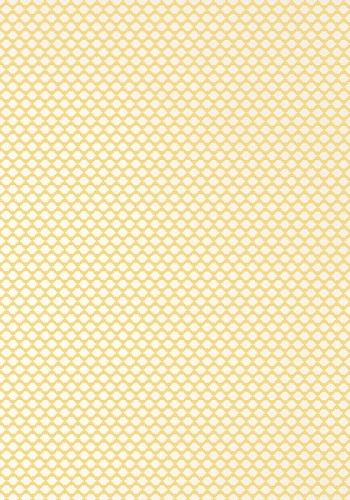 Обои Thibaut Dynasty Bijou T75505 (0,69*8,22)