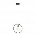 Подвесной светильник Lumion Darryl 3691/1 Подвесной светильник Lumion Darryl 3691/1