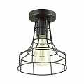 Потолочный светильник Lumion Alfred 3639/1C Потолочный светильник Lumion Alfred 3639/1C