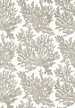Обои Thibaut Tropics Marine Coral T10140 (0,69*8,22) Обои Thibaut Tropics Marine Coral T10140 (0,69*8,22)
