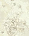 Обои Carl Robinson 2 Gravure Items CB21407 A (0,52*10,0) Обои Carl Robinson 2 Gravure Items CB21407 A (0,52*10,0)