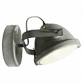 Спот Lussole Loft GRLSP-9880 Спот Lussole Loft GRLSP-9880