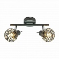 Спот Globo Mosa 56628-2L Спот Globo Mosa 56628-2L