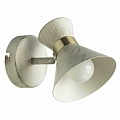 Спот Arte Lamp Baltimore A1406AP-1WG Спот Arte Lamp Baltimore A1406AP-1WG