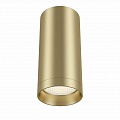 Потолочный светильник Maytoni Alfa C010CL-01MG Потолочный светильник Maytoni Alfa C010CL-01MG