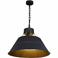 Подвесной светильник Globo Gunther 15366S Подвесной светильник Globo Gunther 15366S