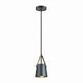 Подвесной светильник Lumion Tristen 3641/1 Подвесной светильник Lumion Tristen 3641/1