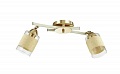 Спот Lumion Filla 3029/2CA Спот Lumion Filla 3029/2CA