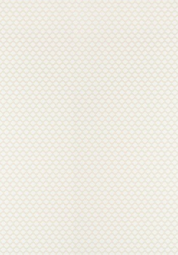 Обои Thibaut Dynasty Bijou T75504 (0,69*8,22)