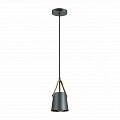 Подвесной светильник Lumion Tristen 3641/1 Подвесной светильник Lumion Tristen 3641/1