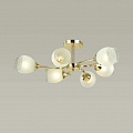 Потолочная люстра Lumion Jolene 4546/6C Потолочная люстра Lumion Jolene 4546/6C