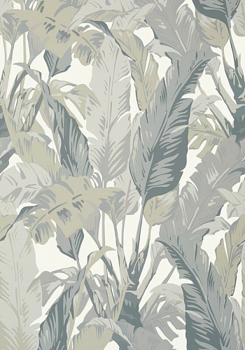 Обои Thibaut Tropics Travelers Palm T10129 (0,69*8,22)
