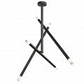Потолочный светильник Maytoni Technical MOD620CL-06B Потолочный светильник Maytoni Technical MOD620CL-06B