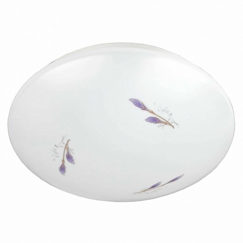 Потолочный светодиодный светильник ЭРА SPB-6-10-4K Lily Б0029160