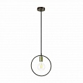 Подвесной светильник Lumion Darryl 3691/1 Подвесной светильник Lumion Darryl 3691/1