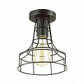 Потолочный светильник Lumion Alfred 3639/1C Потолочный светильник Lumion Alfred 3639/1C