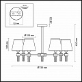 Потолочная люстра Lumion Montana 4429/6C Потолочная люстра Lumion Montana 4429/6C