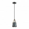 Подвесной светильник Lumion Tristen 3641/1 Подвесной светильник Lumion Tristen 3641/1