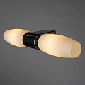 Подсветка для зеркал Arte Lamp Aqua A1209AP-2CC Подсветка для зеркал Arte Lamp Aqua A1209AP-2CC