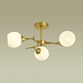 Потолочная люстра Lumion Giselle 4545/3C Потолочная люстра Lumion Giselle 4545/3C