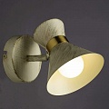 Спот Arte Lamp Baltimore A1406AP-1WG Спот Arte Lamp Baltimore A1406AP-1WG
