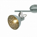 Спот Globo Fabian 54653-2 Спот Globo Fabian 54653-2