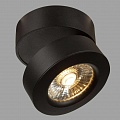 Спот Maytoni Treviso C023CL-L20B Спот Maytoni Treviso C023CL-L20B