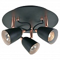 Спот Lussole Loft GRLSP-9853 Спот Lussole Loft GRLSP-9853