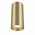 Потолочный светильник Maytoni Alfa C010CL-01MG Потолочный светильник Maytoni Alfa C010CL-01MG