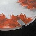 Настенный светильник Lussole LSN-5252-01 Настенный светильник Lussole LSN-5252-01