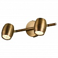 Спот Lussole Tuscaloosa GRLSP-9567 Спот Lussole Tuscaloosa GRLSP-9567