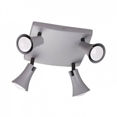 Спот Odeon Light Reanna 3825/4C