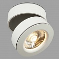 Спот Maytoni Treviso C023CL-L20W Спот Maytoni Treviso C023CL-L20W