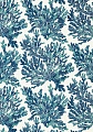 Обои Thibaut Tropics Marine Coral T10124 (0,69*8,22) Обои Thibaut Tropics Marine Coral T10124 (0,69*8,22)