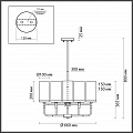 Подвесная люстра Odeon Light Novas 4816/8 Подвесная люстра Odeon Light Novas 4816/8