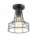Потолочный светильник Lumion Alfred 3639/1C Потолочный светильник Lumion Alfred 3639/1C