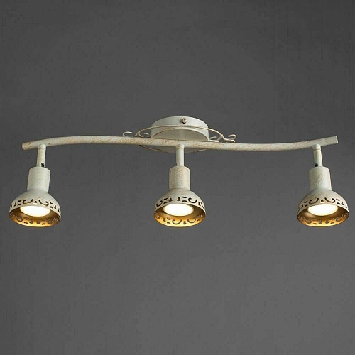 Спот Arte Lamp Focus A5219PL-3WG