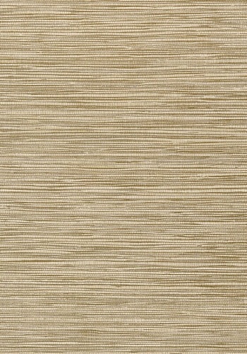 Обои Thibaut Faux Resource Jindo Grass T75118 (0,69*8,22)