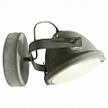 Спот Lussole Loft GRLSP-9880 Спот Lussole Loft GRLSP-9880