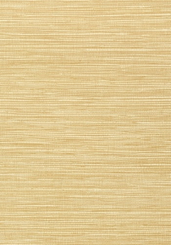 Обои Thibaut Faux Resource Jindo Grass T75115 (0,69*8,22)
